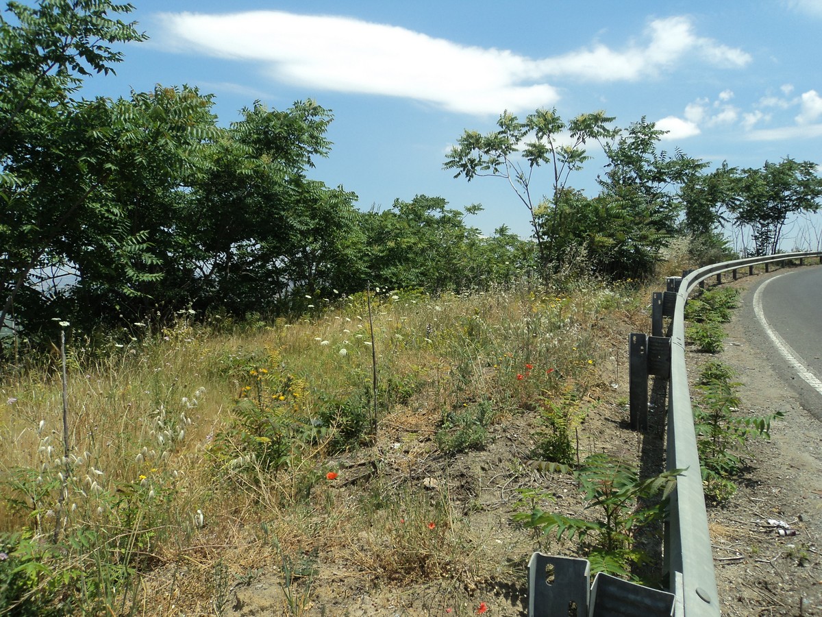 Fotografia Terreno Residenziale Anteprima