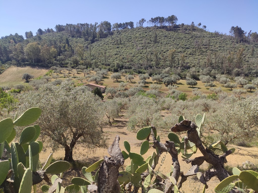 Fotografia Rustico/Casale/Corte piccola 1