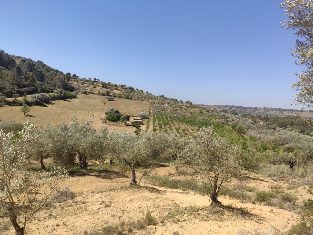 Fotografia Rustico/Casale/Corte Anteprima